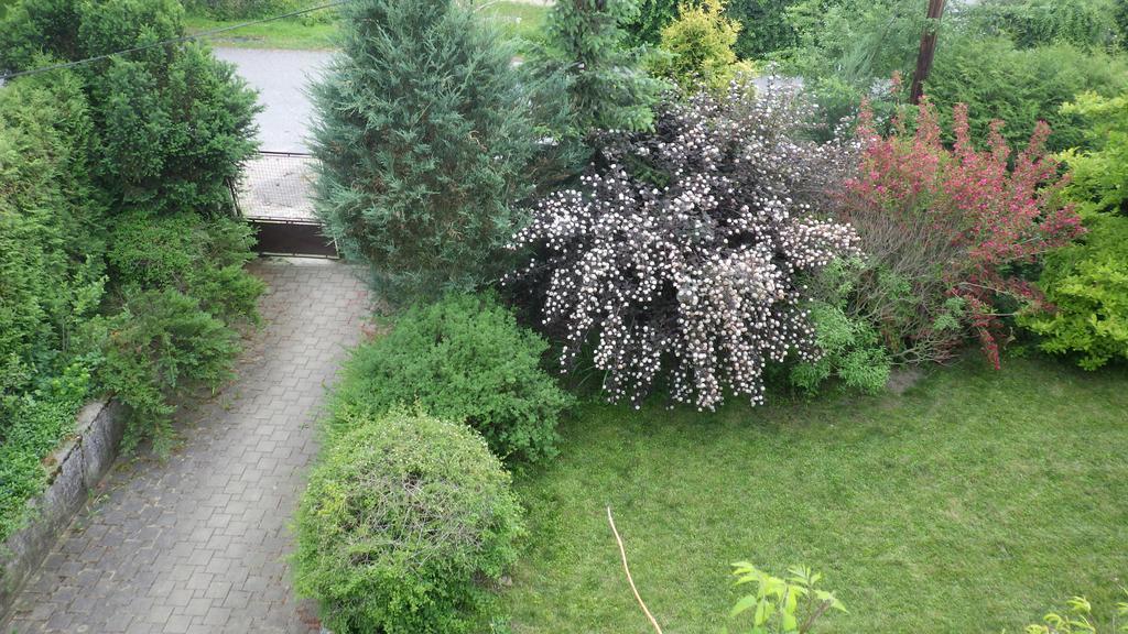 Ubytovani U Dolanskych 체스키크룸로프 외부 사진